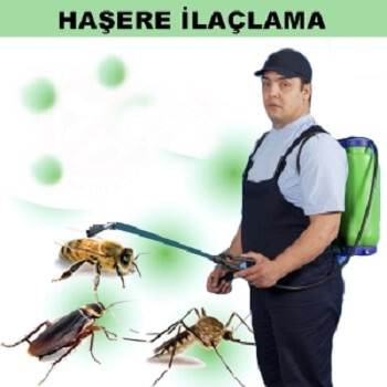Kurtalan Böcek İlaçlama
